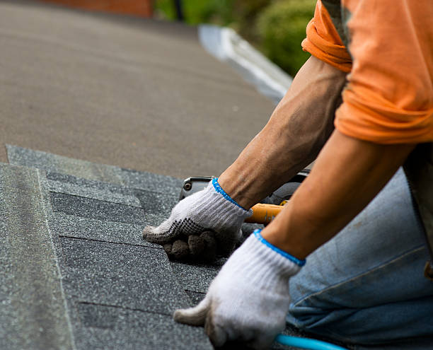 Best Shingle Roofing Installation  in Montgomery, IL